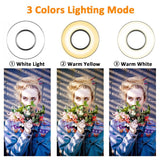 اضاءة مع حامل الجوال للتصوير - رينغ لايت