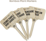 طقم زراعة الخضروات الغريبة من بلانتر تشويس