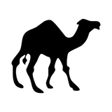مجموعة التاتو المؤقت