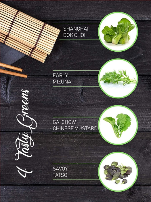 طقم زراعة أعشاب الطهي الآسيوية من بلانتر تشويس