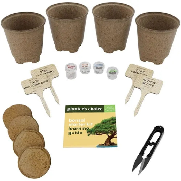 طقم زراعة أشجار البونساي من بلانتر تشويس