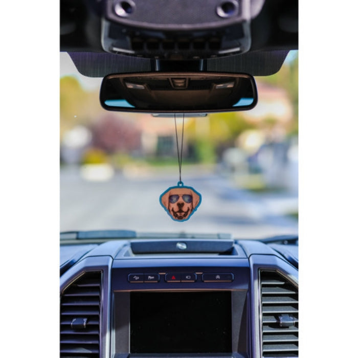 معطر جو للسيارة - لابرادور