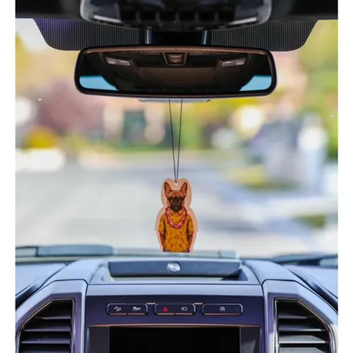 معطر جو للسيارة - بول دوغ