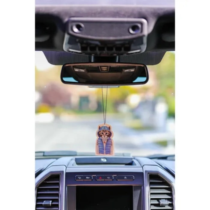 معطر جو للسيارة - قطة في الشتاء